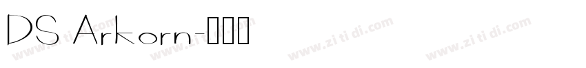 DS Arkorn字体转换